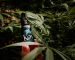 medical-marijuana-blog-img-8